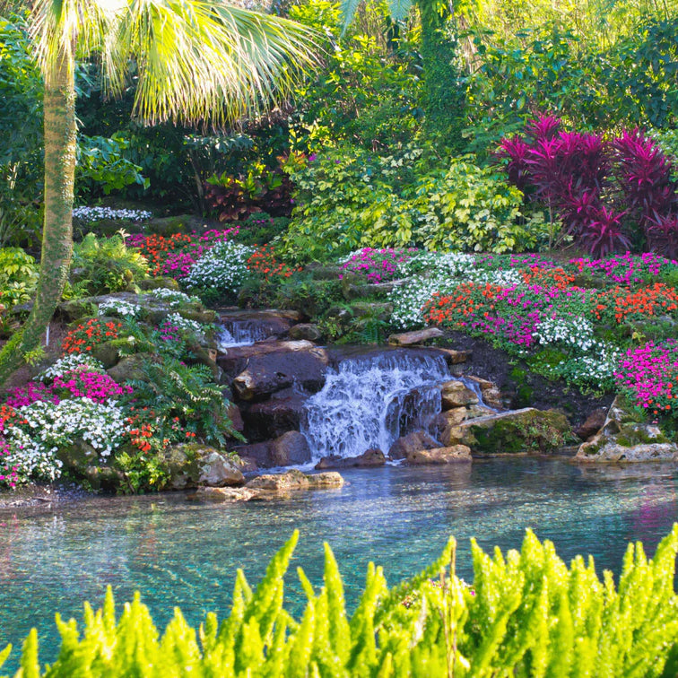 2023 Florida Landscaping Trends Ways to Improve Your Home This Year Bella Sand and Rocks of Tampa