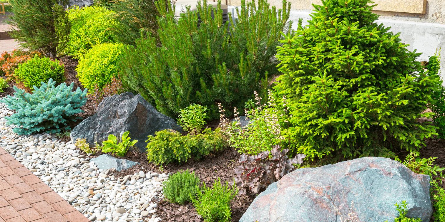 6 Common Landscaping Questions Answered: Expert Tips from Bella Sand and Rocks of Tampa