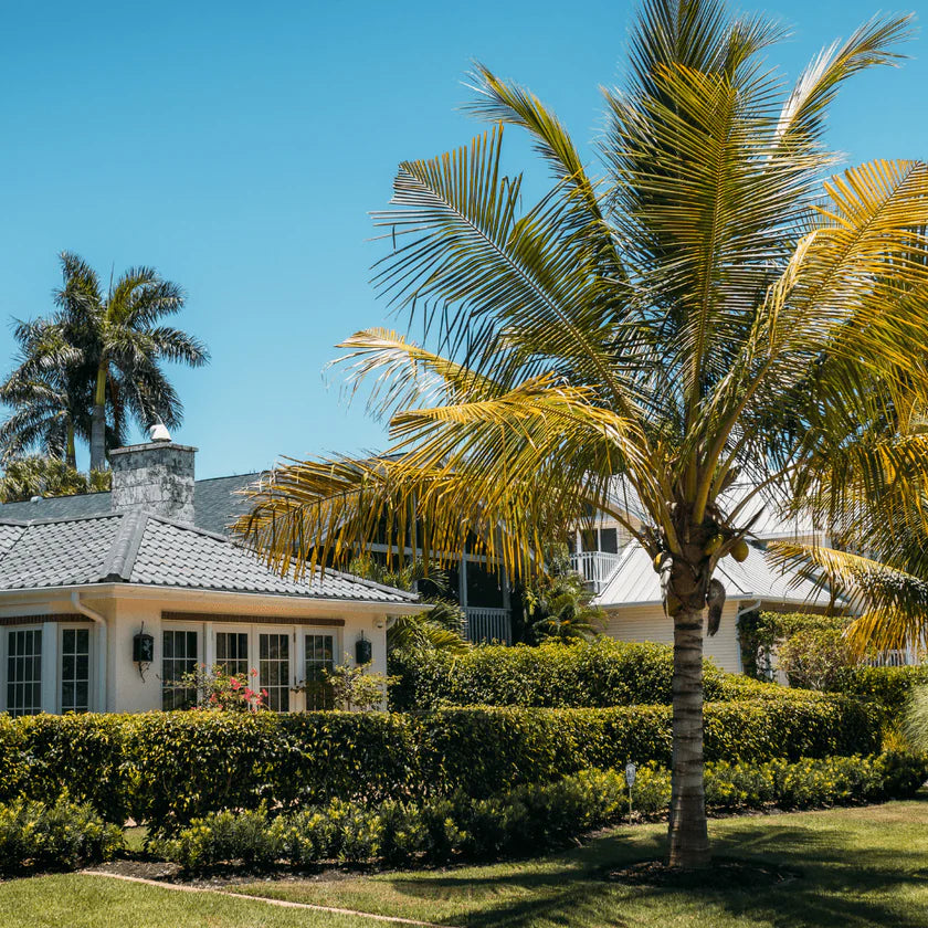 Florida Sun: Thriving with the Best Landscaping Materials Bella Sand and Rocks of Tampa
