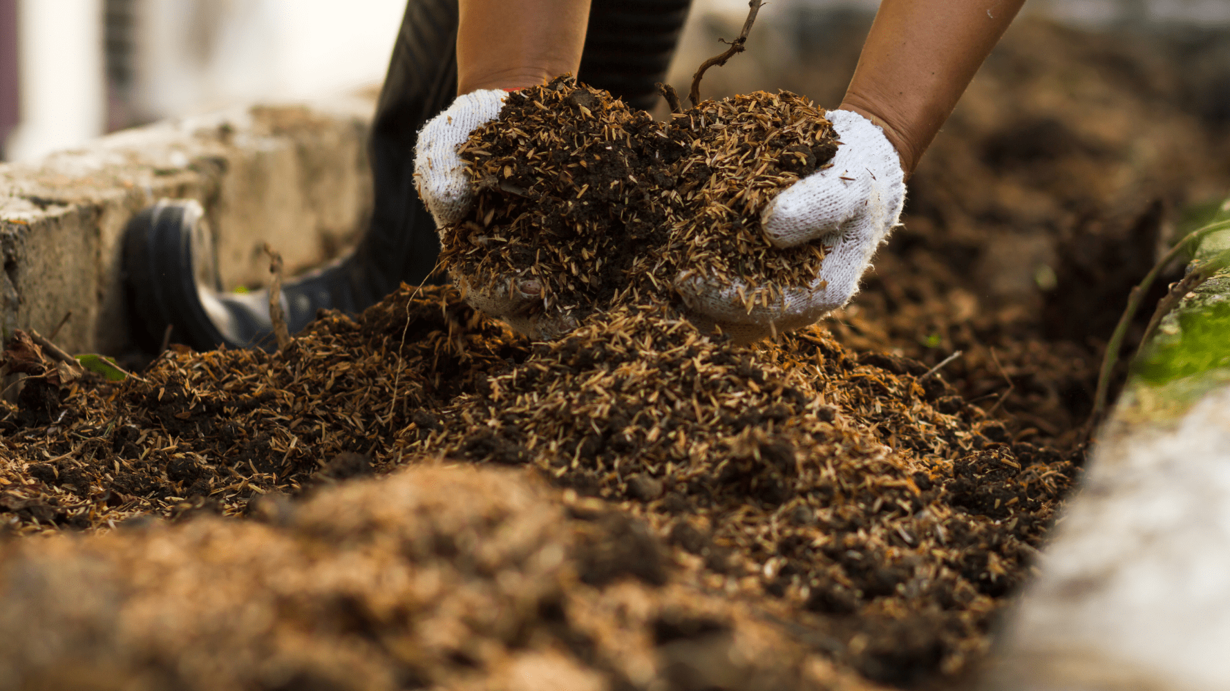 Composting 101: Elevate Your Garden and Home | Bella Sand and Rocks of New Orleans