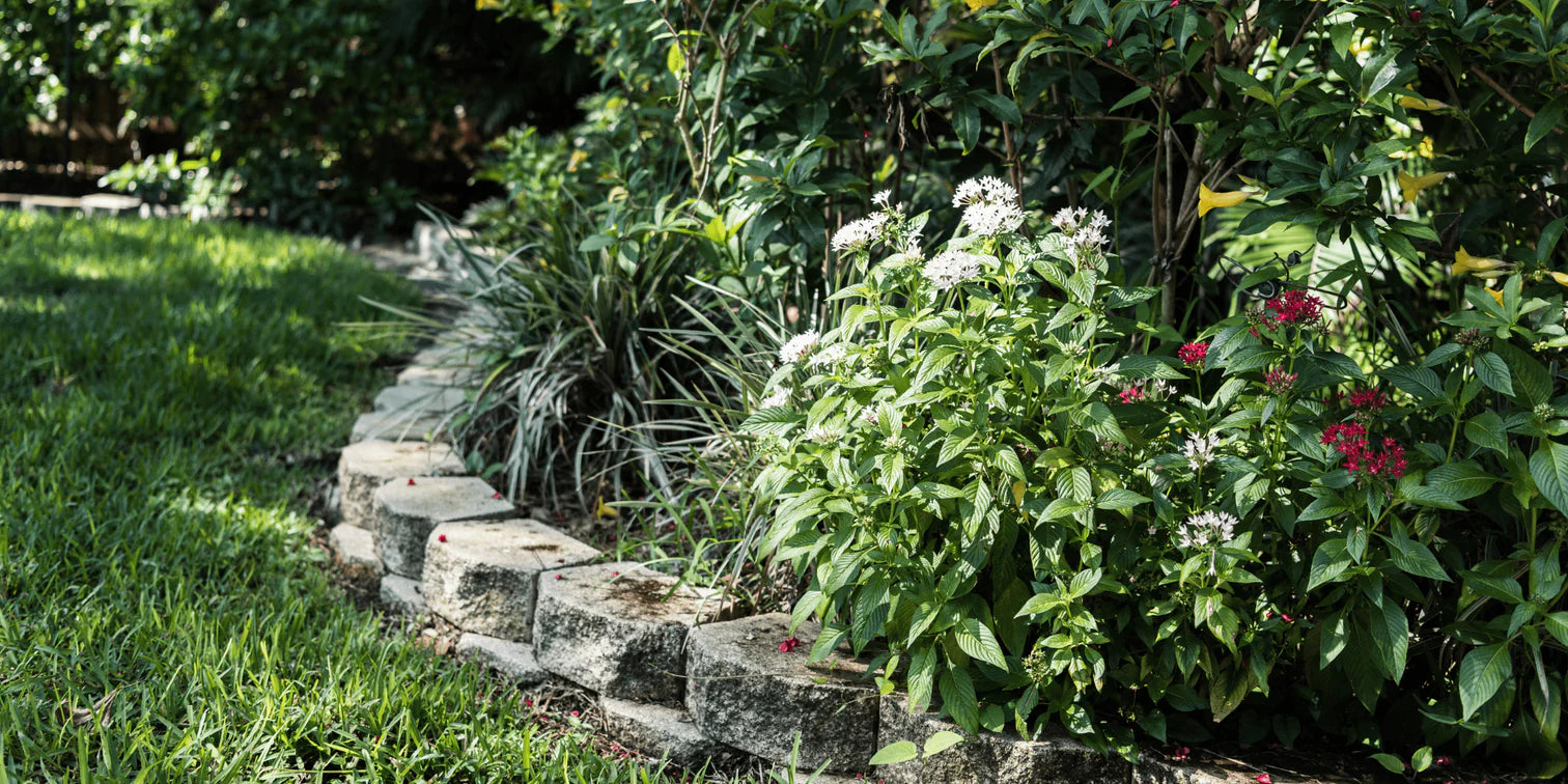 Eco-Friendly Tampa Landscaping: 5 Ways to Go Green in 2023 Bella Sand and Rocks of Tampa Florida