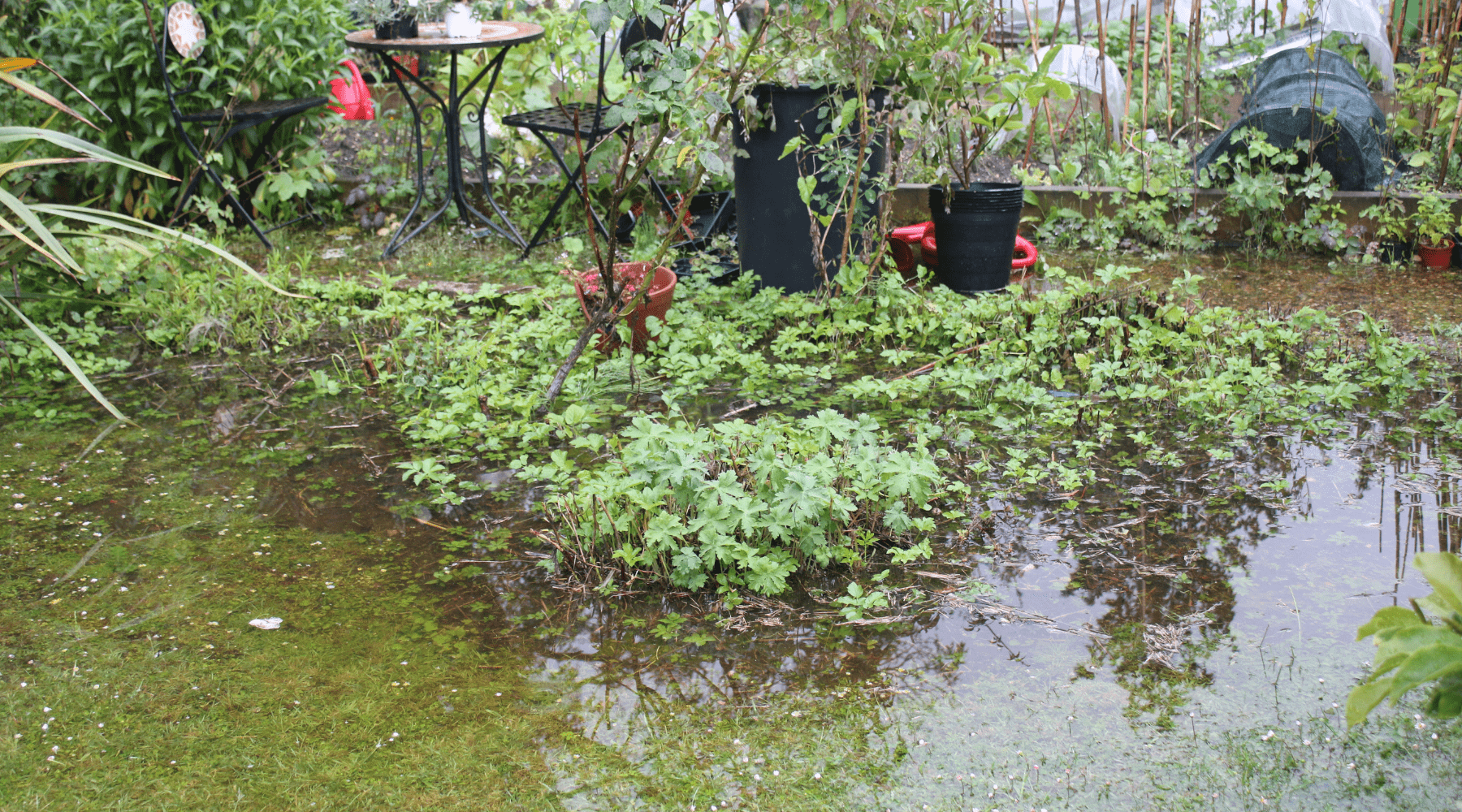 Flood Preventative Landscaping: Protecting from Louisiana Flooding | Bella Sand and Rocks of New Orleans