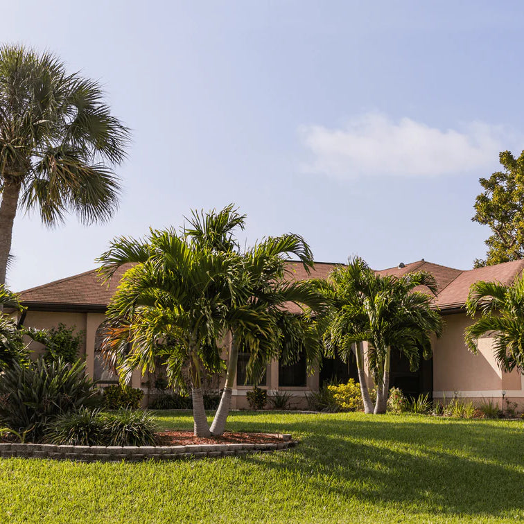 Florida Feels: 4 Ways to Reinvent Your Home Landscaping Bella Sand and Rocks of Tampa