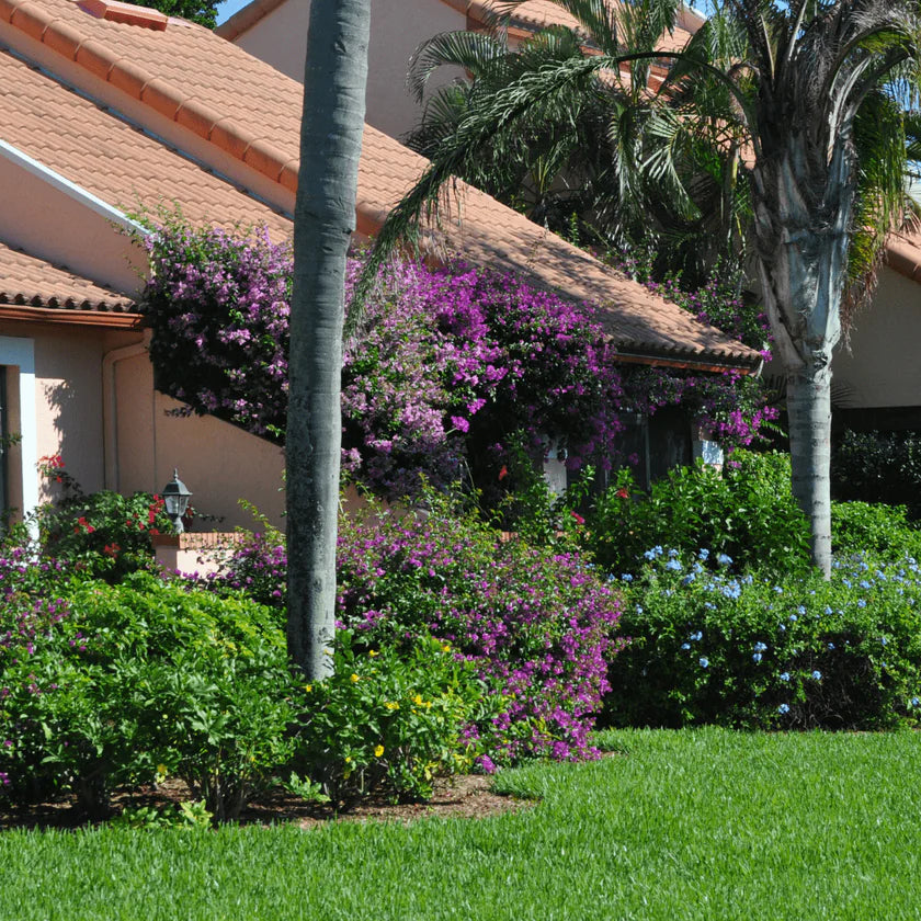 Florida Landscaping Challenges: 5 of the Biggest Obstacles to Successful Landscaping | Bella Sand and Rocks of Tampa