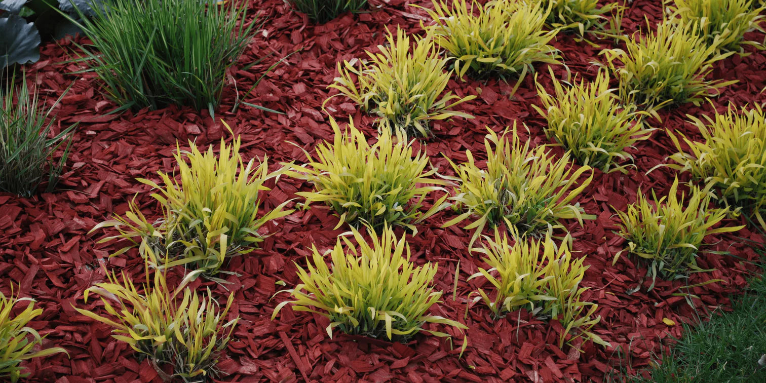 Mulch Landscaping: Promote Plant Growth and Water Conservation at Home Bella Sand and Rocks of Tampa