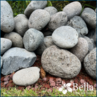 Gladestone Beach Pebbles - Bella Sand and Rocks of Tampa Florida